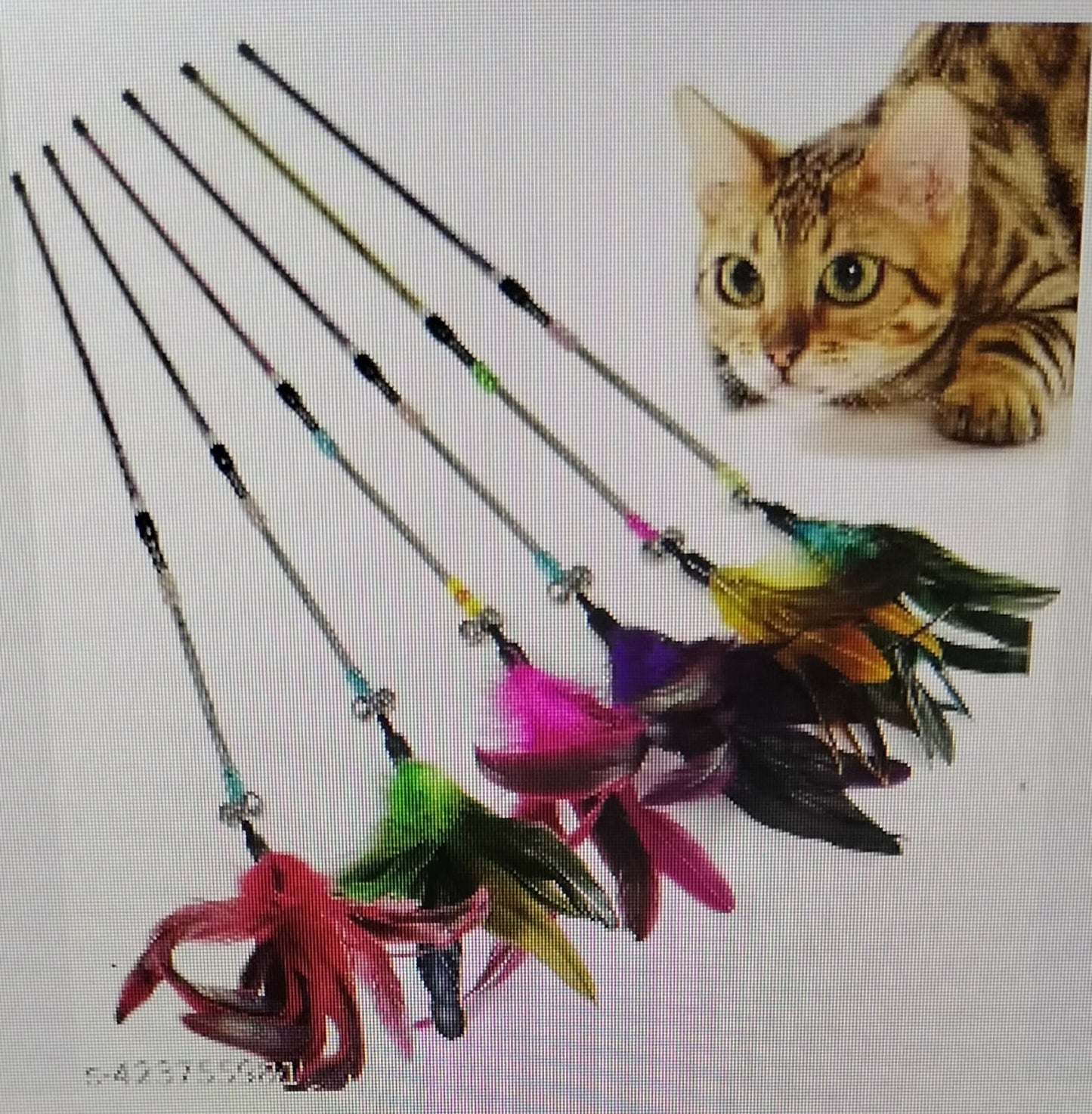 feather toy cats and dogs
