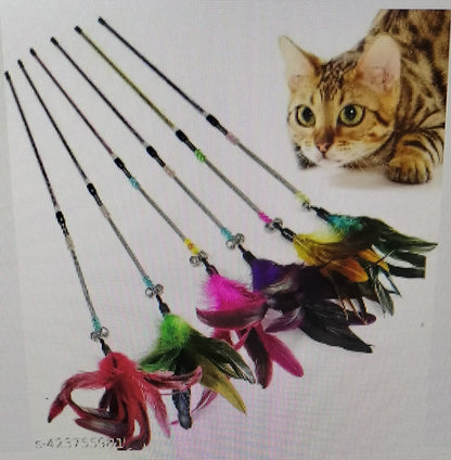 feather toy cats and dogs